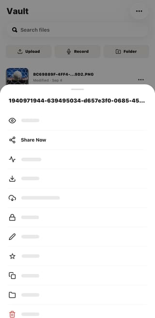 VaultIQGG file options with Share Now highlighted